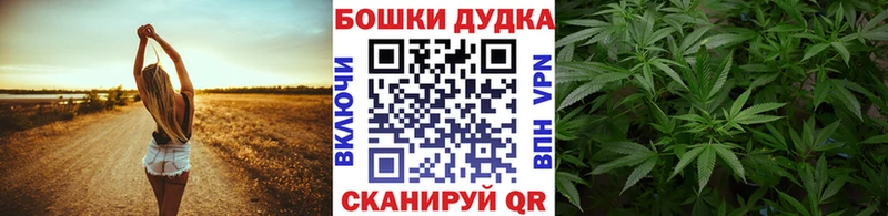 мориарти какой сайт Домодедово Канабис ГИДРОПОН